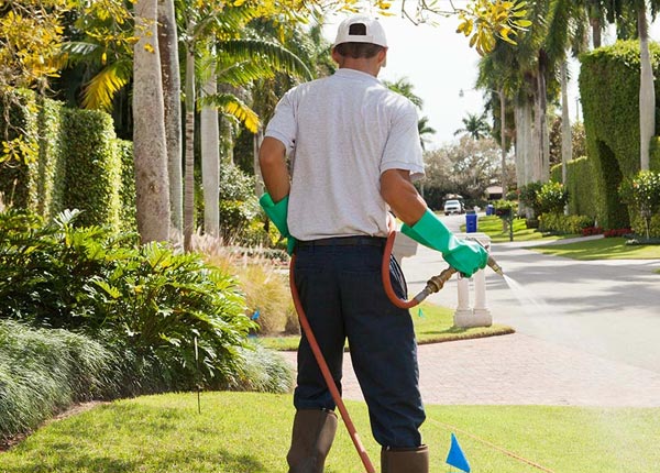 About Ouray CO Pest Control